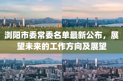 瀏陽市委常委名單最新公布，展望未來的工作方向及展望