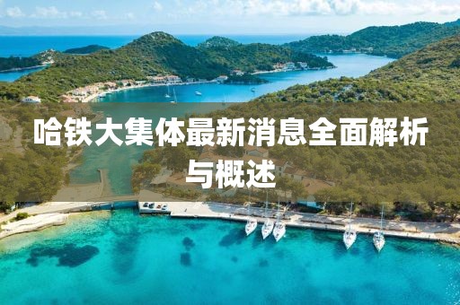 哈鐵大集體最新消息全面解析與概述