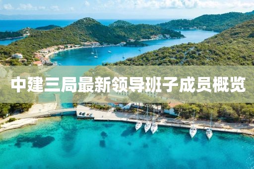 中建三局最新領(lǐng)導(dǎo)班子成員概覽