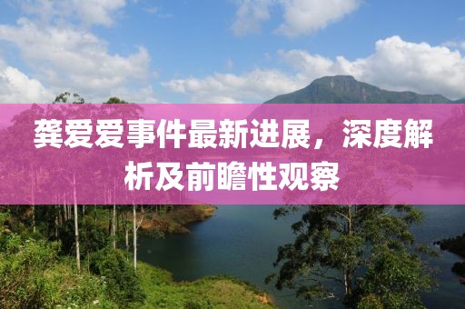 龔愛愛事件最新進(jìn)展，深度解析及前瞻性觀察