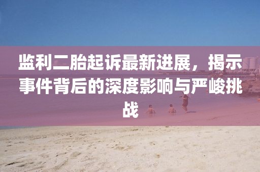 監(jiān)利二胎起訴最新進(jìn)展，揭示事件背后的深度影響與嚴(yán)峻挑戰(zhàn)