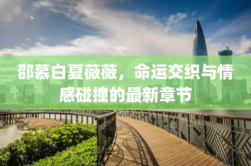 邵慕白夏薇薇，命運(yùn)交織與情感碰撞的最新章節(jié)
