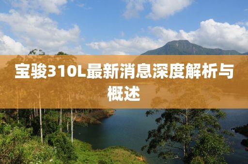 寶駿310L最新消息深度解析與概述