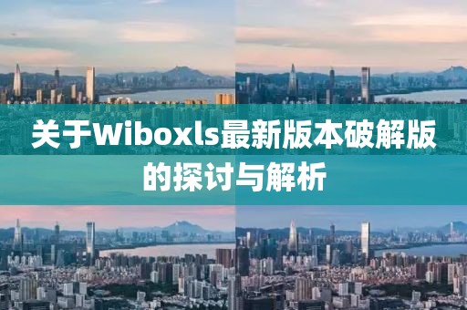 關(guān)于Wiboxls最新版本破解版的探討與解析