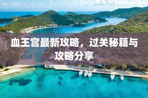 血王宮最新攻略，過關(guān)秘籍與攻略分享