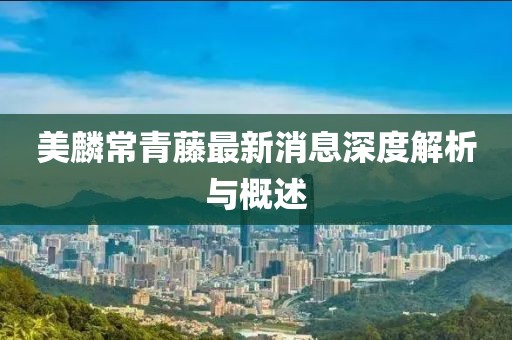 美麟常青藤最新消息深度解析與概述