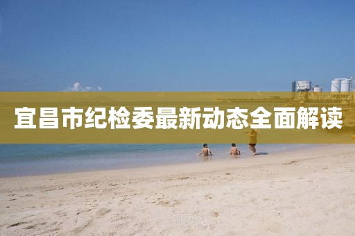 宜昌市紀(jì)檢委最新動(dòng)態(tài)全面解讀