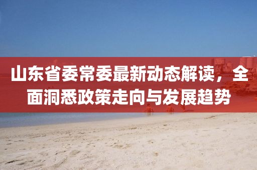 山東省委常委最新動態(tài)解讀，全面洞悉政策走向與發(fā)展趨勢