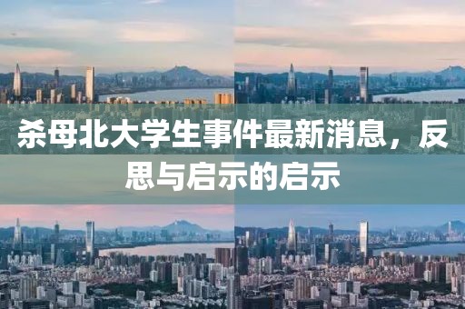 殺母北大學(xué)生事件最新消息，反思與啟示的啟示