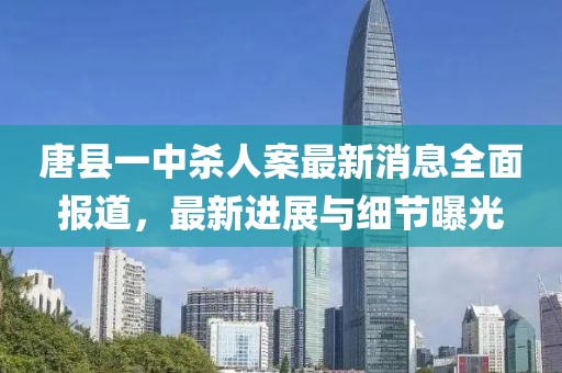 唐縣一中殺人案最新消息全面報(bào)道，最新進(jìn)展與細(xì)節(jié)曝光