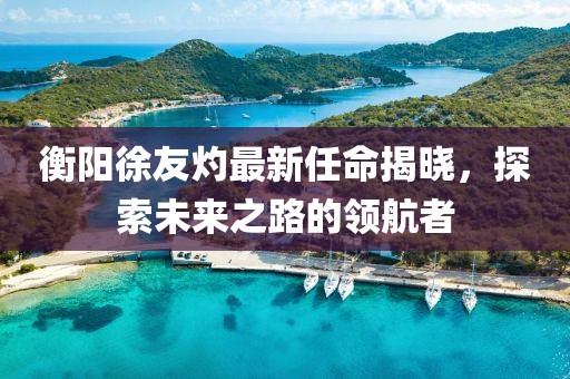 衡陽徐友灼最新任命揭曉，探索未來之路的領(lǐng)航者