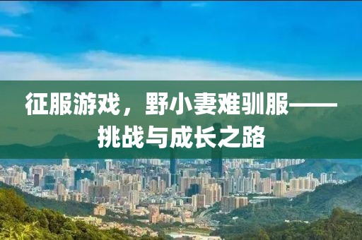 征服游戲，野小妻難馴服——挑戰(zhàn)與成長之路