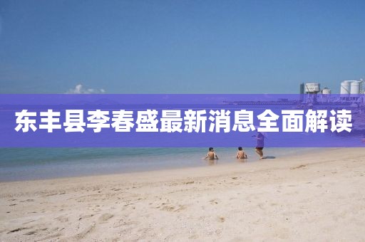 東豐縣李春盛最新消息全面解讀