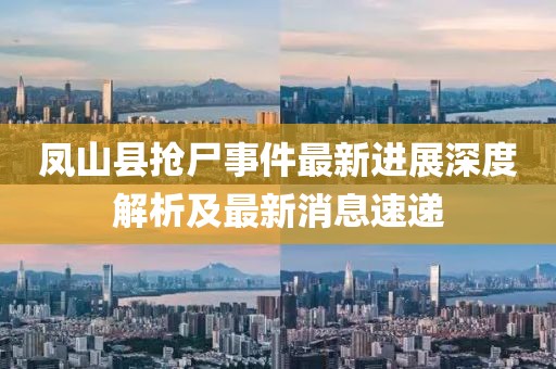 鳳山縣搶尸事件最新進(jìn)展深度解析及最新消息速遞
