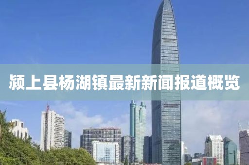 潁上縣楊湖鎮(zhèn)最新新聞報道概覽