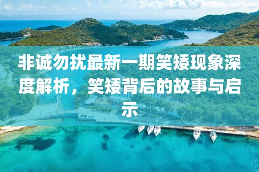 非誠勿擾最新一期笑矮現(xiàn)象深度解析，笑矮背后的故事與啟示