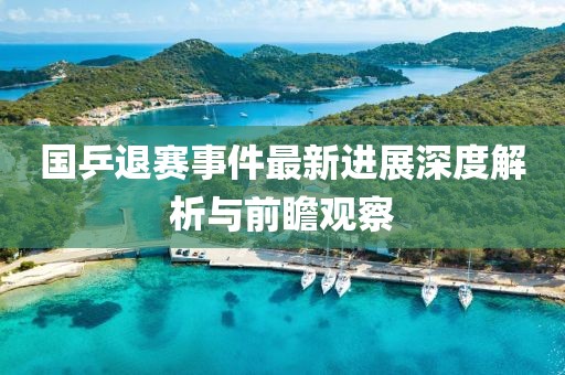 國乒退賽事件最新進(jìn)展深度解析與前瞻觀察