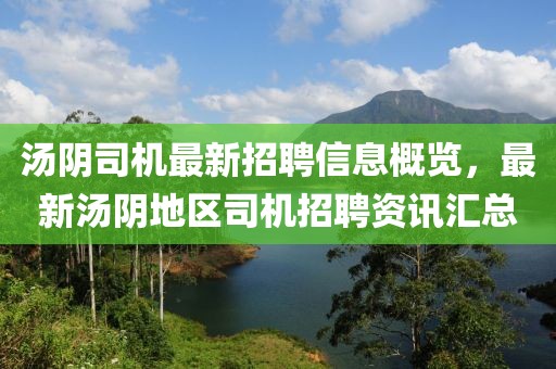 湯陰司機最新招聘信息概覽，最新湯陰地區(qū)司機招聘資訊匯總