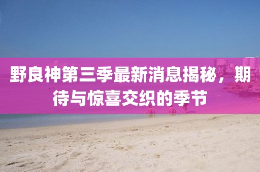 野良神第三季最新消息揭秘，期待與驚喜交織的季節(jié)