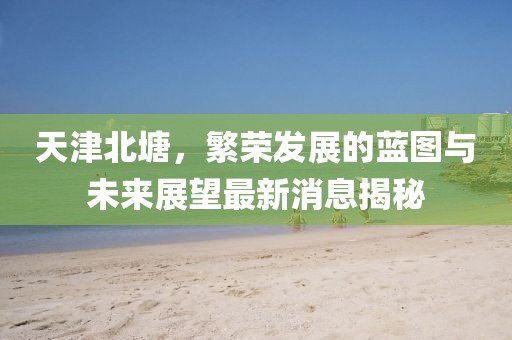 天津北塘，繁榮發(fā)展的藍(lán)圖與未來展望最新消息揭秘