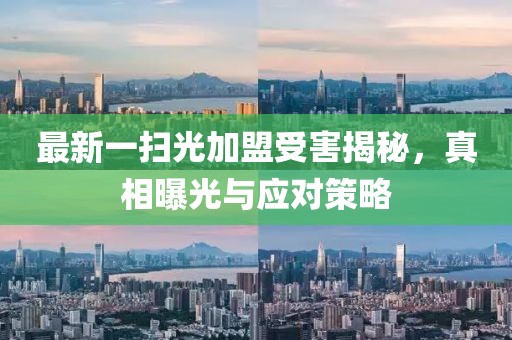 最新一掃光加盟受害揭秘，真相曝光與應對策略