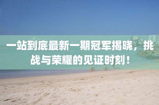 一站到底最新一期冠軍揭曉，挑戰(zhàn)與榮耀的見證時刻！