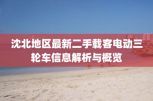 沈北地區(qū)最新二手載客電動(dòng)三輪車信息解析與概覽