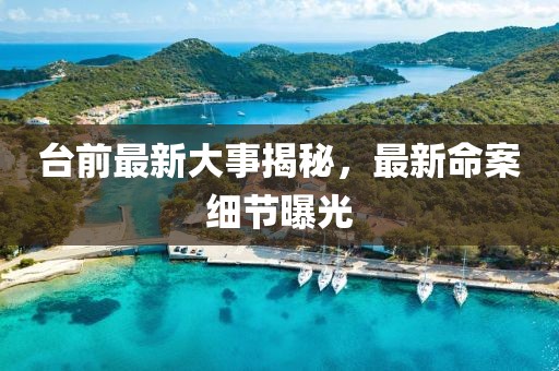 臺前最新大事揭秘，最新命案細(xì)節(jié)曝光