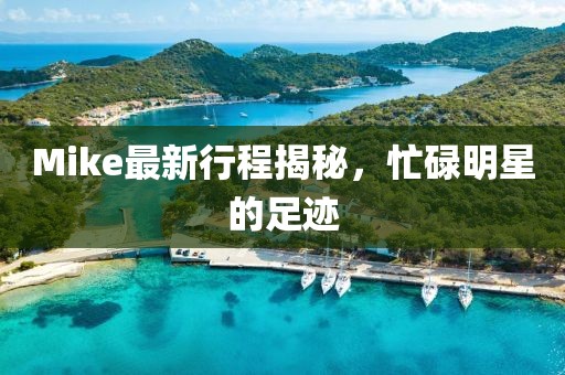 Mike最新行程揭秘，忙碌明星的足跡