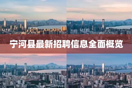 寧河縣最新招聘信息全面概覽