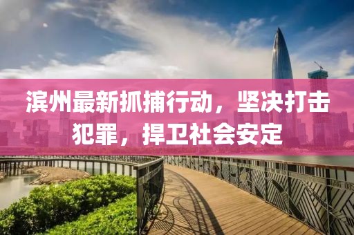 濱州最新抓捕行動(dòng)，堅(jiān)決打擊犯罪，捍衛(wèi)社會(huì)安定