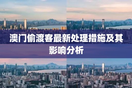 澳門偷渡客最新處理措施及其影響分析