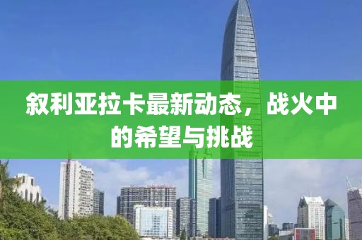 敘利亞拉卡最新動態(tài)，戰(zhàn)火中的希望與挑戰(zhàn)