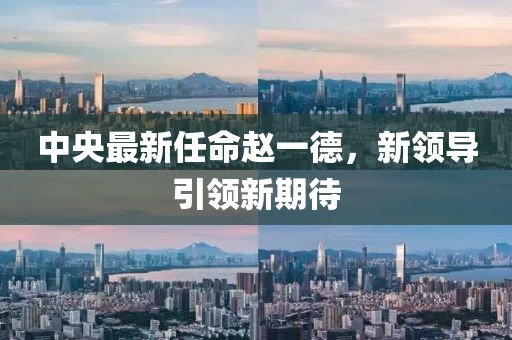中央最新任命趙一德，新領(lǐng)導(dǎo)引領(lǐng)新期待