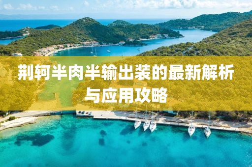 荊軻半肉半輸出裝的最新解析與應(yīng)用攻略