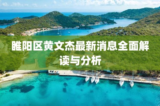 睢陽(yáng)區(qū)黃文杰最新消息全面解讀與分析