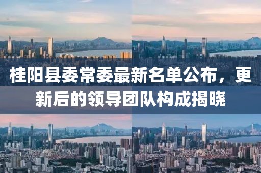 桂陽縣委常委最新名單公布，更新后的領(lǐng)導(dǎo)團隊構(gòu)成揭曉
