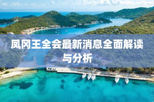 鳳岡王全會最新消息全面解讀與分析
