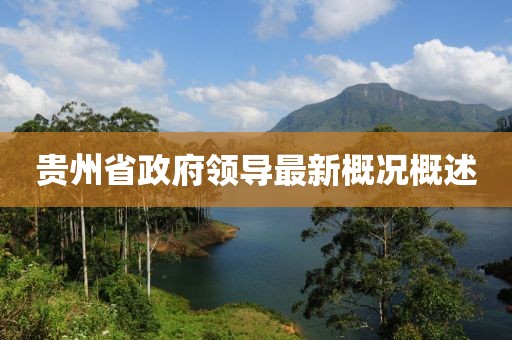 貴州省政府領(lǐng)導(dǎo)最新概況概述