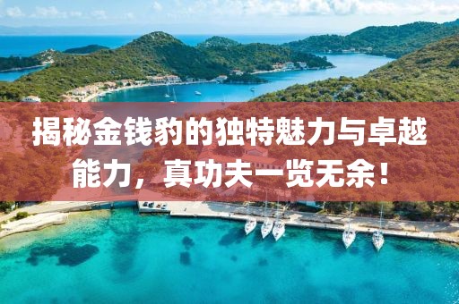 揭秘金錢豹的獨特魅力與卓越能力，真功夫一覽無余！