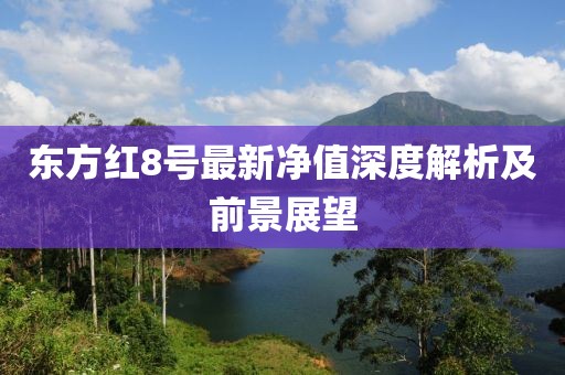 東方紅8號最新凈值深度解析及前景展望