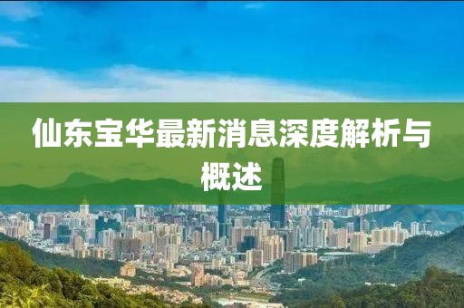 仙東寶華最新消息深度解析與概述