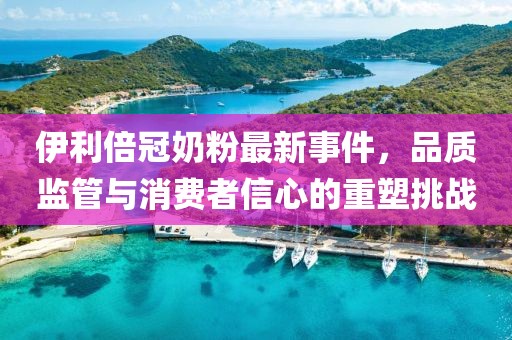伊利倍冠奶粉最新事件，品質(zhì)監(jiān)管與消費者信心的重塑挑戰(zhàn)