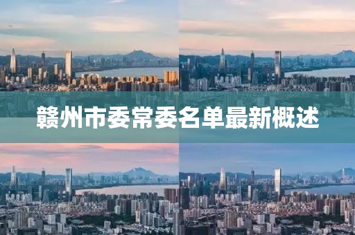 贛州市委常委名單最新概述