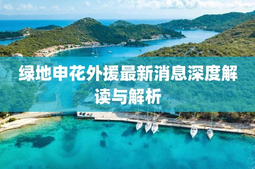 綠地申花外援最新消息深度解讀與解析
