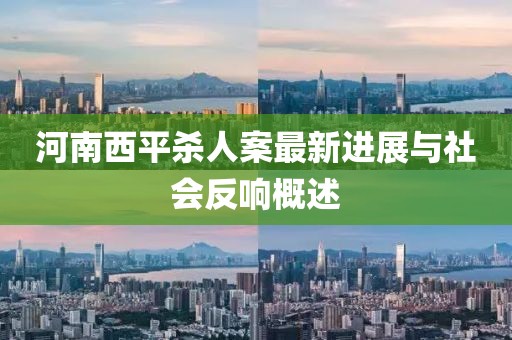 河南西平殺人案最新進(jìn)展與社會(huì)反響概述