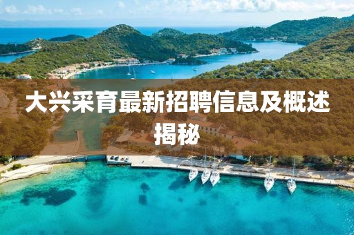 大興采育最新招聘信息及概述揭秘