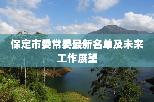 保定市委常委最新名單及未來工作展望