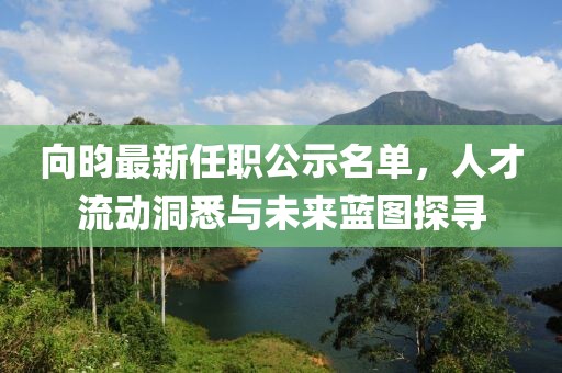 向昀最新任職公示名單，人才流動(dòng)洞悉與未來(lái)藍(lán)圖探尋