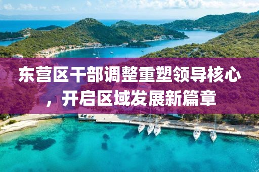東營(yíng)區(qū)干部調(diào)整重塑領(lǐng)導(dǎo)核心，開啟區(qū)域發(fā)展新篇章